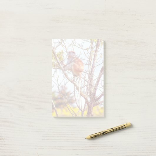 Patas is omhoog een structuur post-it® notes (Op bureau)