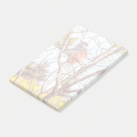 Patas is omhoog een structuur post-it® notes (Schuin)