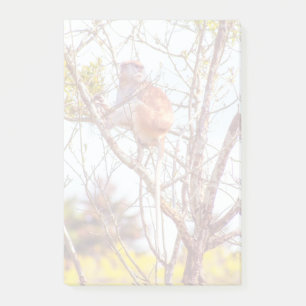Patas is omhoog een structuur post-it® notes