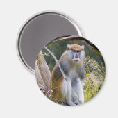 Patas Monkey Magneet (Voorkant / Achterkant)