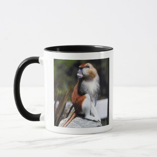 Patas monkey mok (Links)