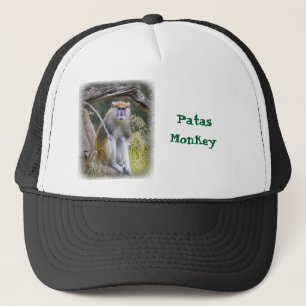 Patas Monkey Trucker Pet