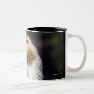 Patas monkey tweekleurige koffiemok
