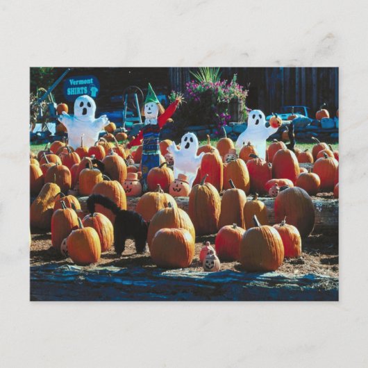 Patch citrouille avec Ghosts - Carte postale (Devant)