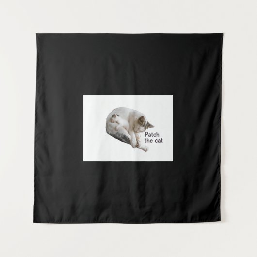 PATCH DE KAT EN HAAR KITJE WANDKLEED (Voorkant)