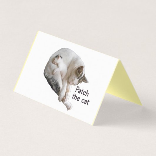 PATCH LE CHAT ET SA CUISINE (Front)