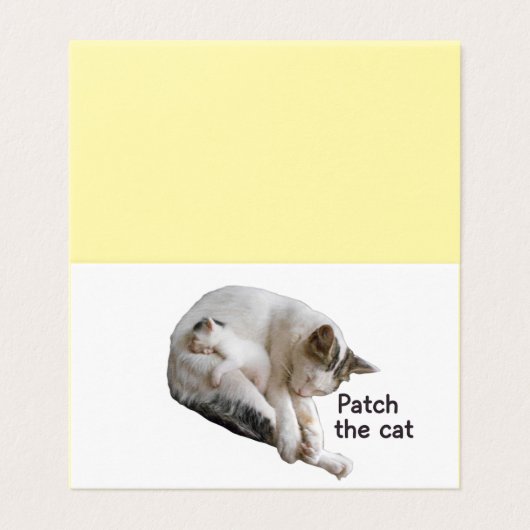 PATCH LE CHAT ET SA CUISINE (Outside Unfolded)