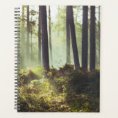 Patch of Underbrush in the Forest (Devant)