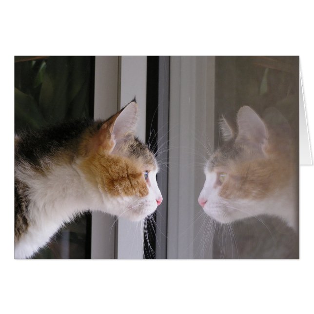 Patches (Voorkant Horizontaal)