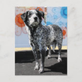 Patches - Blue Tick Pointer -1 Briefkaart (Voorkant)