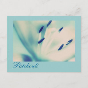 Patchouli Lily Briefkaart Floral Digital Art
