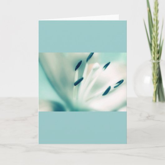 Patchouli Lily, fleur, cartes de voeux modèles (Devant)