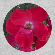 patchs gris-foray rouge floral