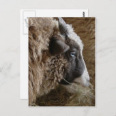 Patchwork Amy Briefkaart (Voorkant / Achterkant)