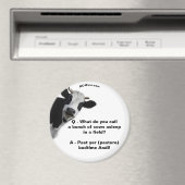 Pâte au coucher Andi aimant amusant (In Situ (Lave-vaisselle))