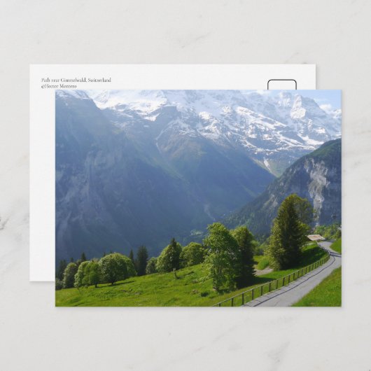 Path nabij Gimmelwald, Zwitserland Briefkaart (Voorkant / Achterkant)