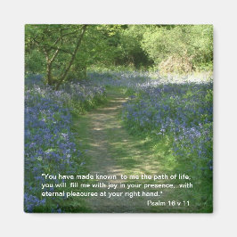 Path of Life - Bluebells | Magneet