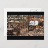 Pathless Bossen Briefkaart (Voorkant / Achterkant)