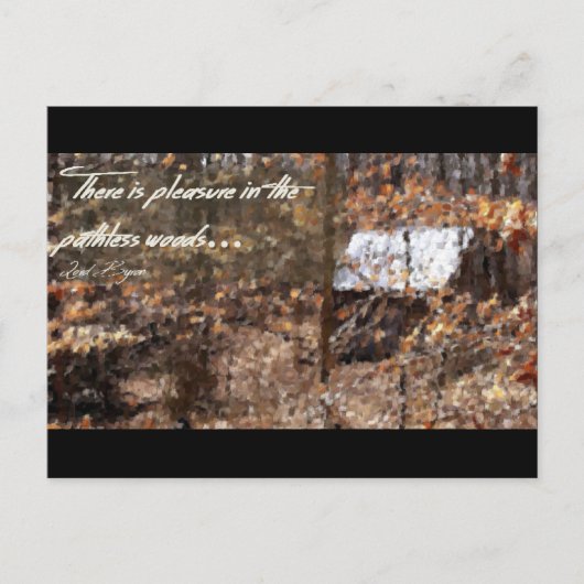 Pathless Bossen Briefkaart (Voorkant)