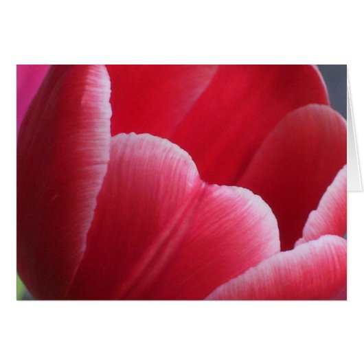 Patience (Devant horizontal)