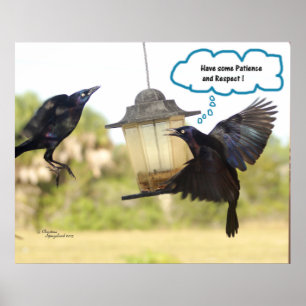 Patience Respect Ravens Crows vogelprint Poster