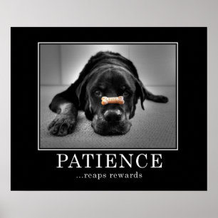 "Patience Rewards" Poster