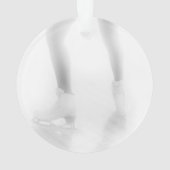 Patinage de glace (dos)