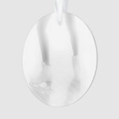 Patinage de glace (devant)