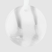 Patinage de glace (devant)