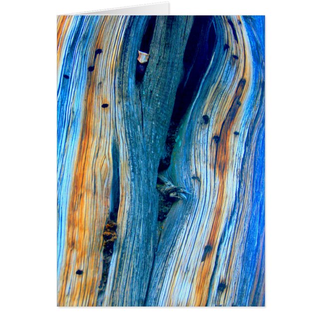 patinée planche à grange bleue (Devant)