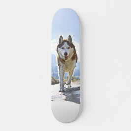 Patineta Enérgico Husky Siberiano Caminando Skateboard