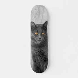 Patineta Gato Negro Británico De Pelo Corto Skateboard