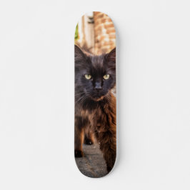 Patineta Gato Negro Caminando Cauteloso Skateboard