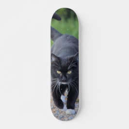 Patineta Gato Negro Con Patas Blancas Skateboard