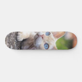 Patineta Gato Ojos Azules Devon Rex Skateboard (Horizontaal)