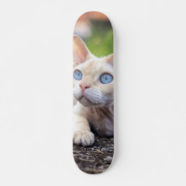 Patineta Gato Ojos Azules Devon Rex Skateboard