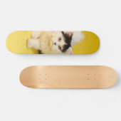 Patineta Gato Persa Caminando Skateboard (Horizontaal)