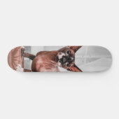 Patineta Gato Raza Esfinge  Skateboard (Horizontaal)