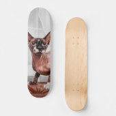 Patineta Gato Raza Esfinge  Skateboard (Voorkant)