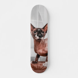Patineta Gato Raza Esfinge  Skateboard