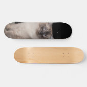 Patineta Gato Siberiano Observando Skateboard (Horizontaal)