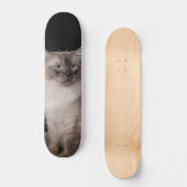 Patineta Gato Siberiano Observando Skateboard (Voorkant)