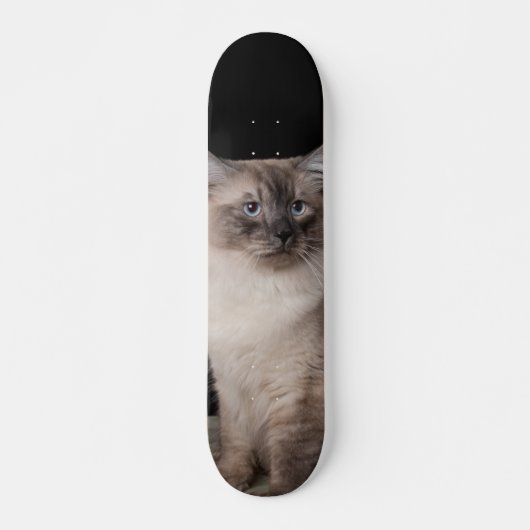 Patineta Gato Siberiano Observando Skateboard (Voorkant)