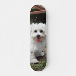 Patineta Perro Pequeño Blanco Y Peludo Skateboard