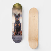 Patineta Perro Pinscher Miniatura Sentado Skateboard (Voorkant)