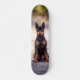 Patineta Perro Pinscher Miniatura Sentado Skateboard