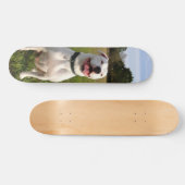 Patineta Pitbull Blanco Sentado En El Campo Skateboard (Horizontaal)