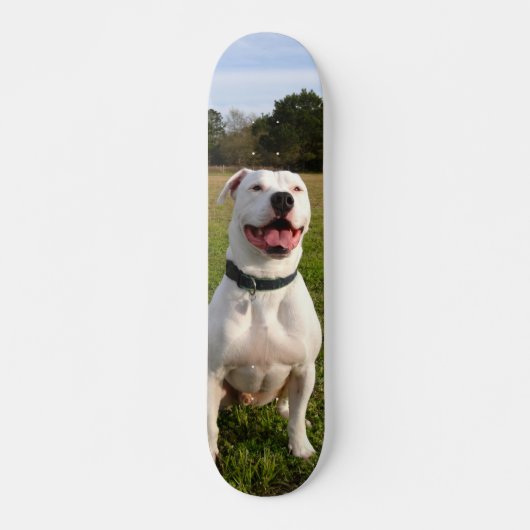 Patineta Pitbull Blanco Sentado En El Campo Skateboard (Voorkant)