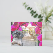 Patio Cafe Briefkaart (Staand voorkant)