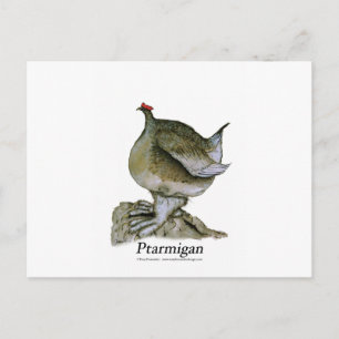 Patriciaanse vogel, Tony Fernandes Briefkaart